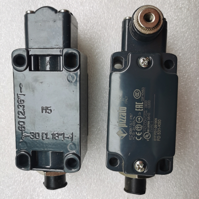 60117974 Phụ tùng cẩu bánh xích GY-S-1NO+1NC-75 LimitSwitch